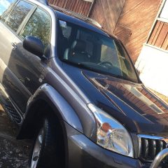 Vaido