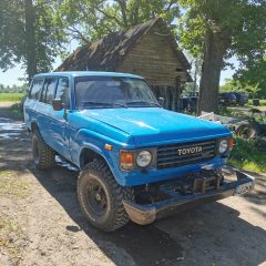 Veiko