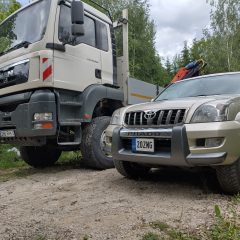 Mikk